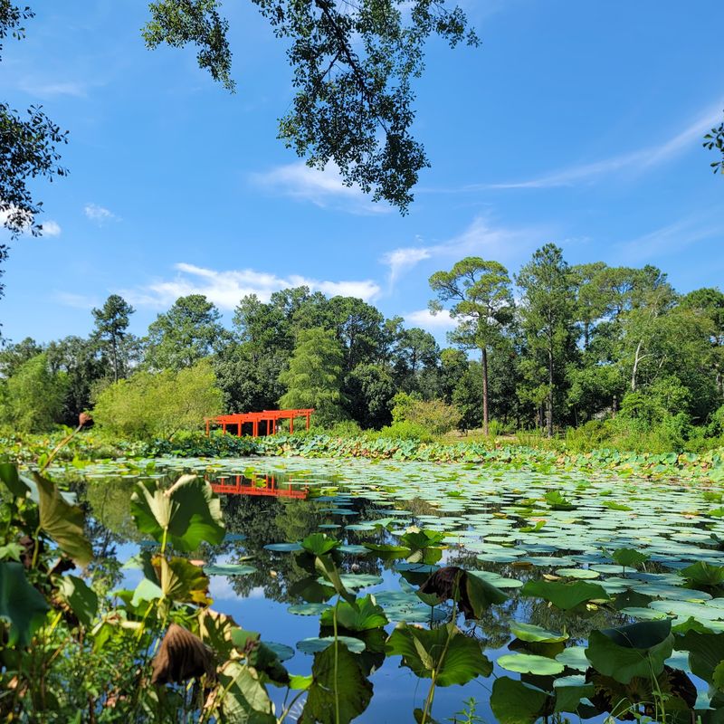 People Live In Alabama For Years And Still Miss These 9 Enchanting Places - Decor Hint Mobile Japanese Garden