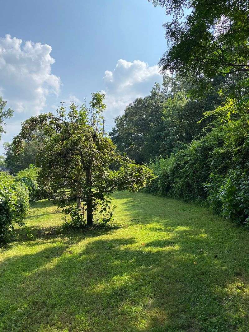 Mabry Farm, Marietta