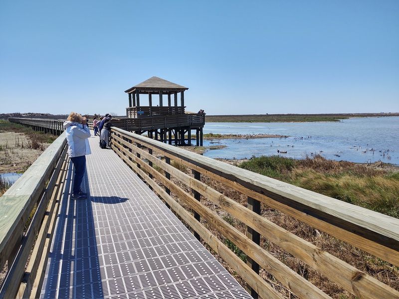 9 Texas Day Trips That Go Beyond The Usual Tourist Attractions - Decor Hint Leonabelle Turnbull Birding Center, Port Aransas