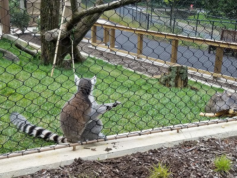 10 Delaware Getaways That Feel Like Quick Escapes Without Topping $50 - Decor Hint Brandywine Zoo