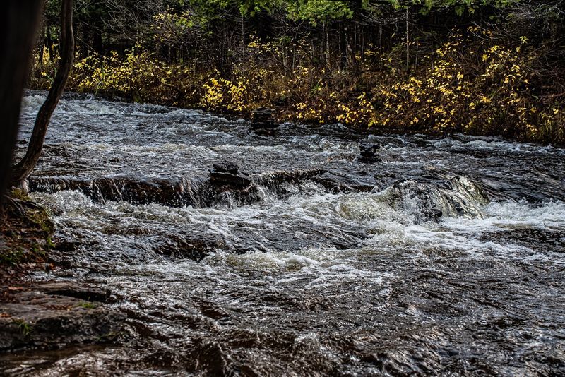 Fishing The Ocqueoc River