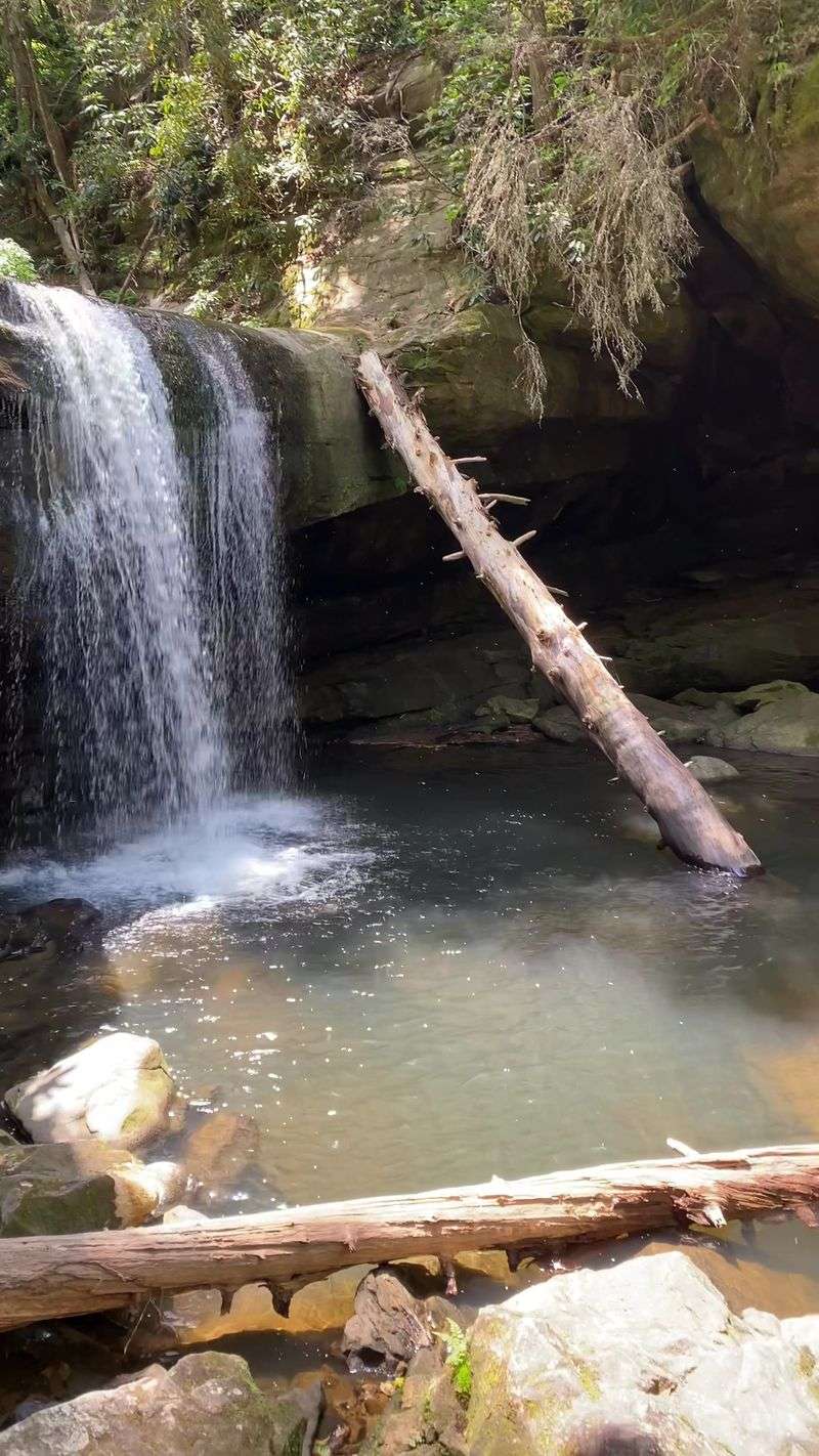 One Kentucky Waterfall Has A Frightening Name And An Ideal Swimming Hole - Decor Hint Pair It With Cumberland Falls Nearby