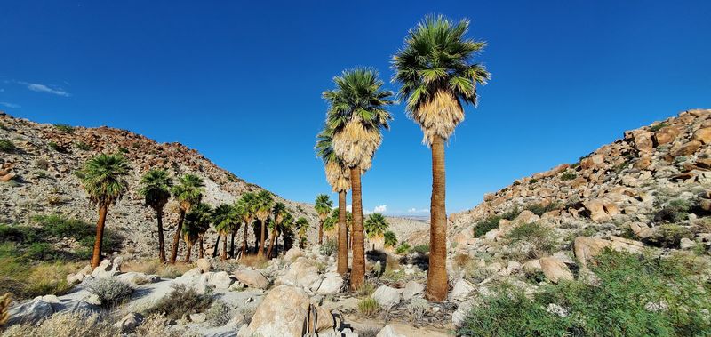 11 Stunning Southern California Day Trips That Cost Less Than $65 - Decor Hint Anza-Borrego Desert State Park, Borrego Springs