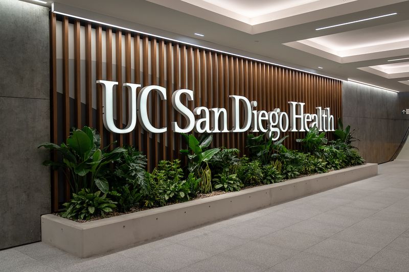 Doctors Here Helped Pioneer A Lifesaving Lung Operation