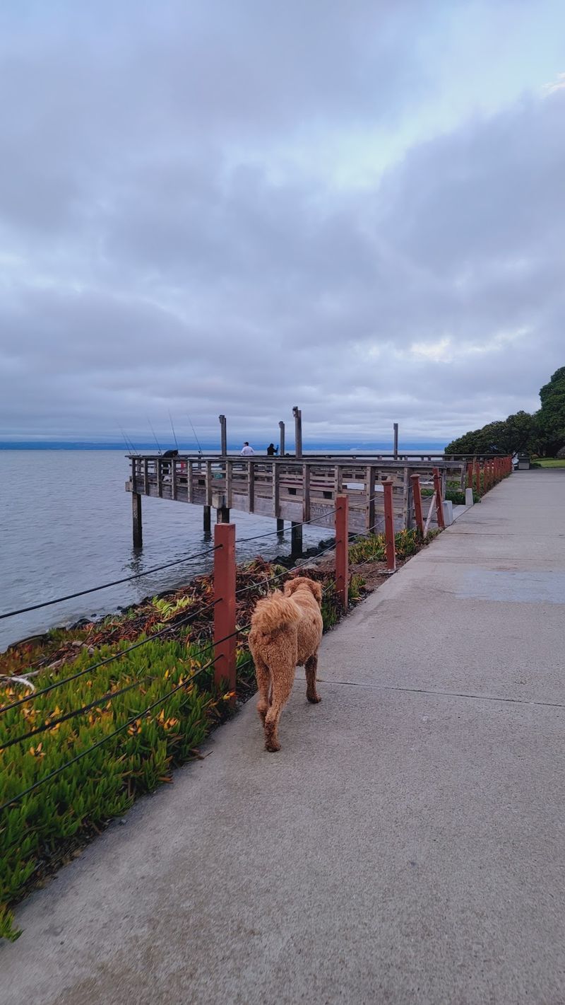 Bay Trail Near The Palo Alto Baylands