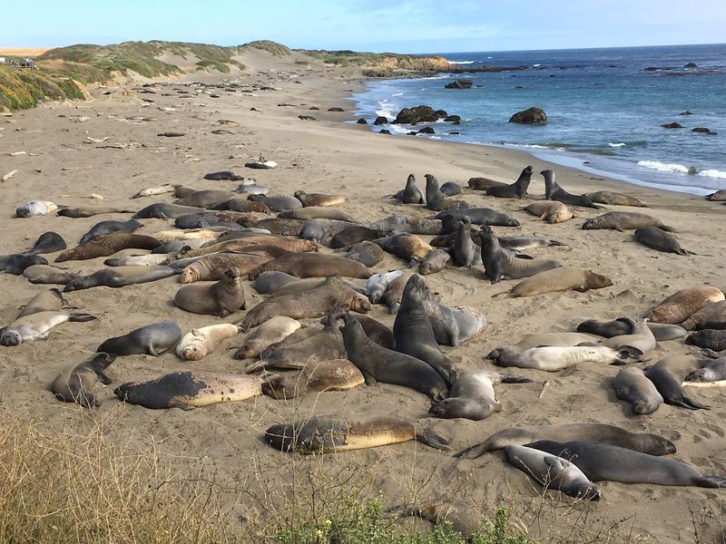 San Simeon