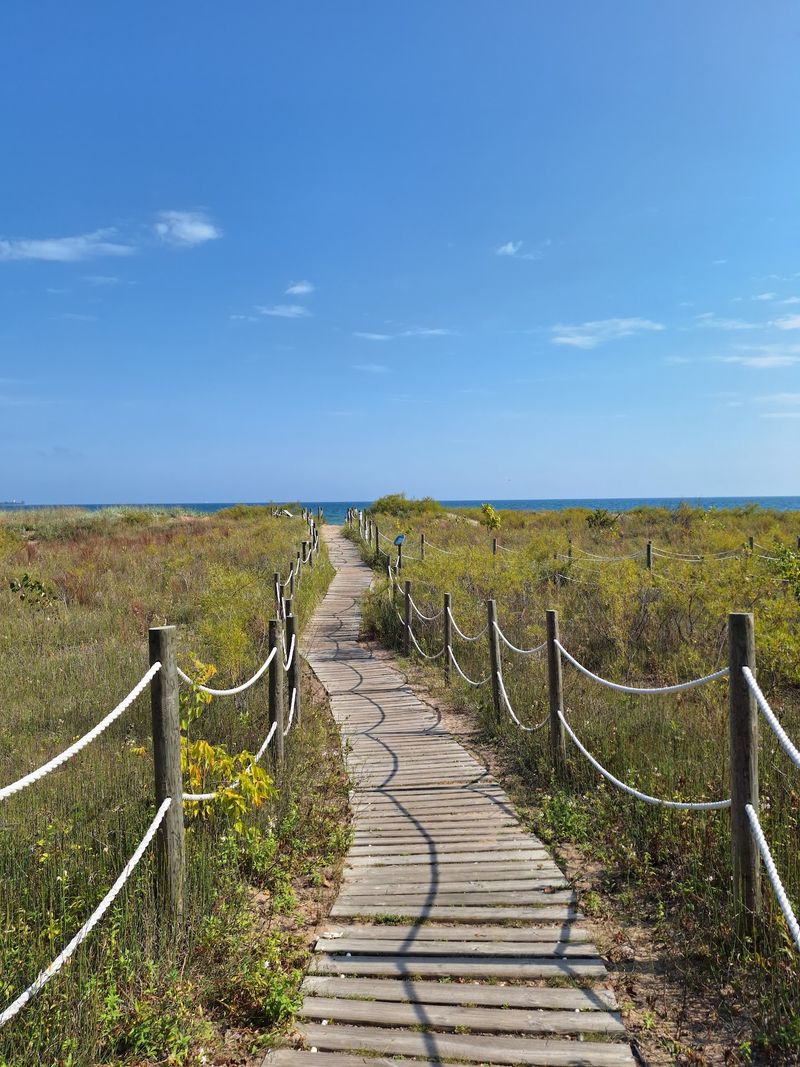 A Landscape Of Restored Dunes, Boardwalks, And Quiet Wetlands