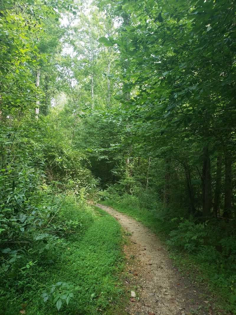 Bean Shoals Canal Trail
