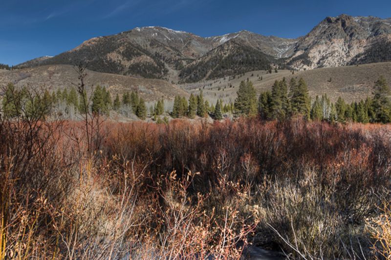 Boulder Mountains, Near Ketchum