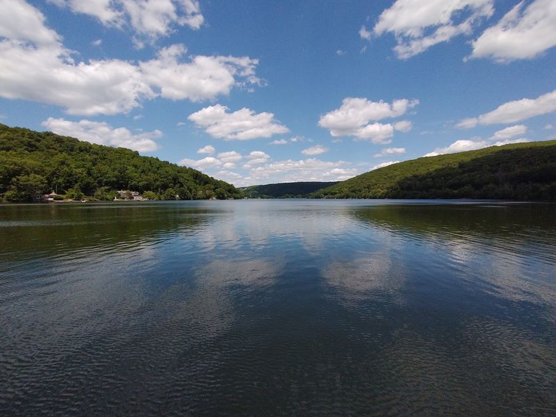 Summer Visitors Changed The Quiet Rhythm