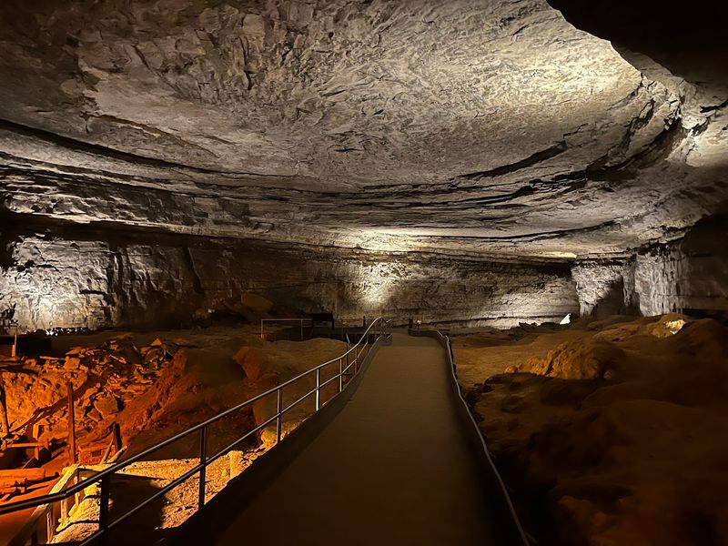 Scientists Keep Finding Ancient Sharks Inside Kentucky's Most Famous Cave - Decor Hint Mammoth Cave Turned Out To Be An Ancient Seafloor