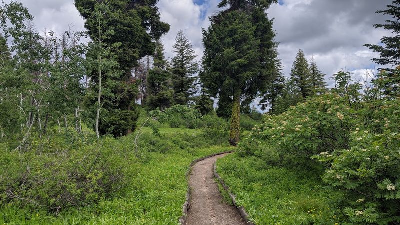 Mores Mountain Trail, Near Boise