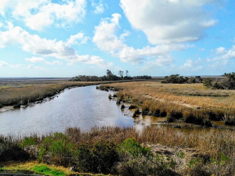 This Gorgeous Georgia Coastal Town Might Just Be The Most Beautiful Small Town On The Coast - Decor Hint The Altamaha River Delta Is A Genuine Natural Wonder
