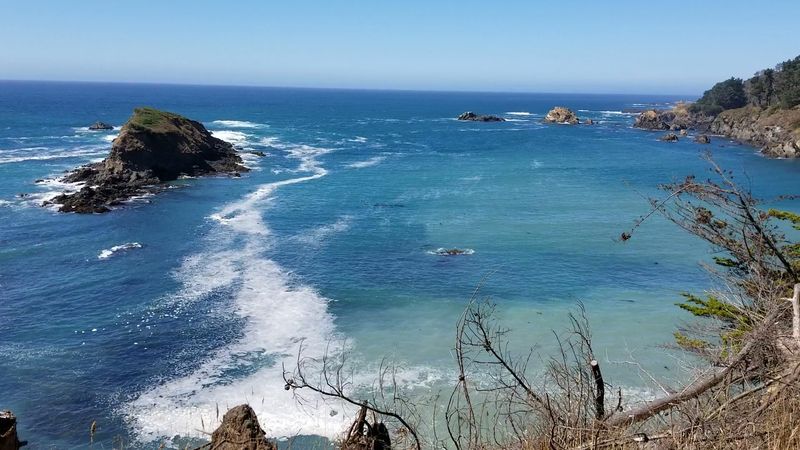 Look For Whales From The Beach And Headlands