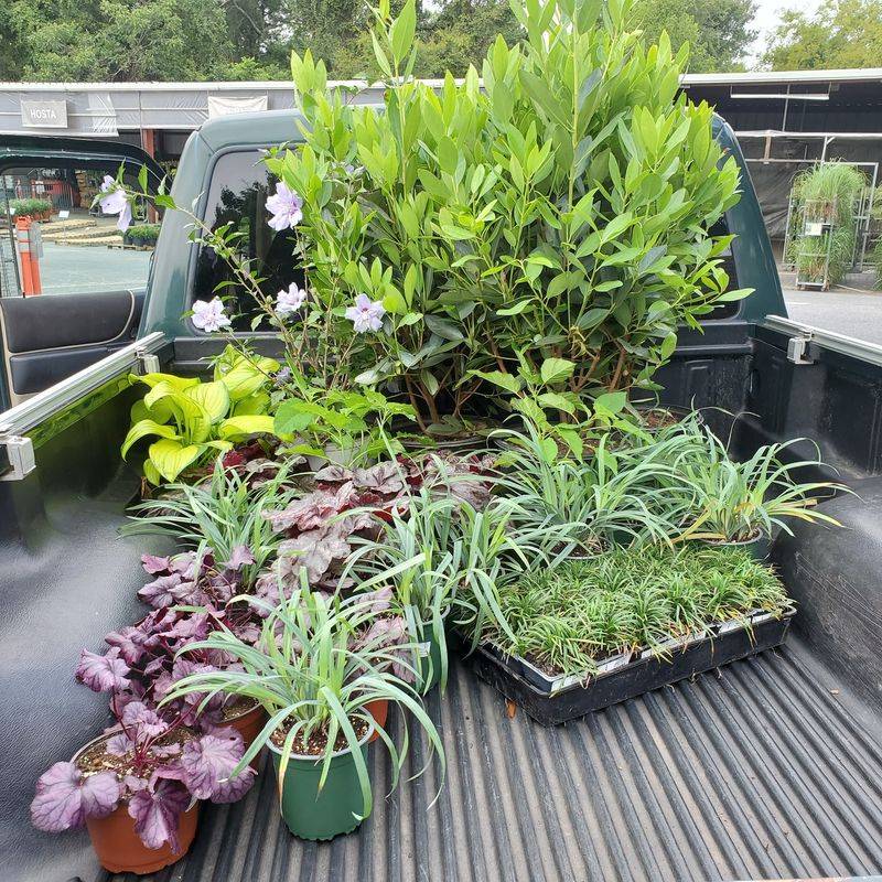 What To Know Before You Load The Car