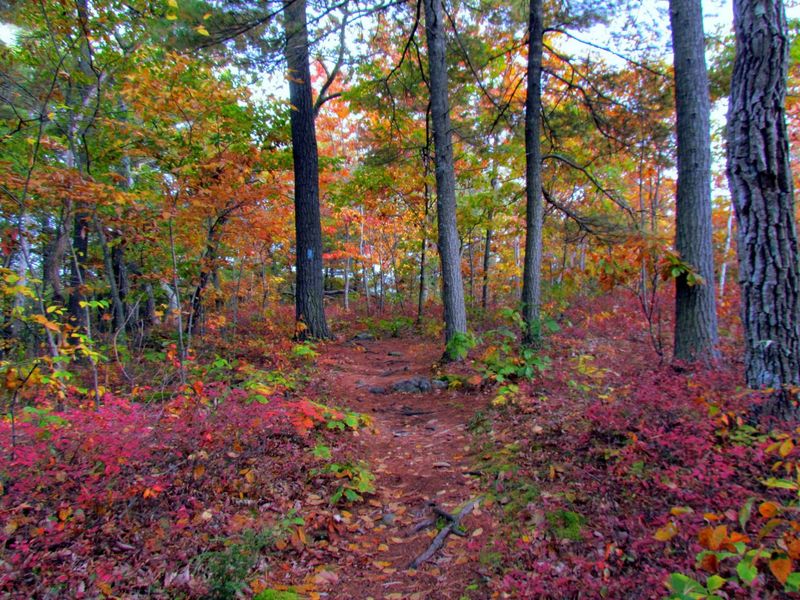 Fall Color Takes Over The Valley