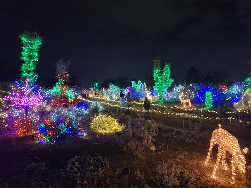 Visit During Different Seasons For A Completely New Experience