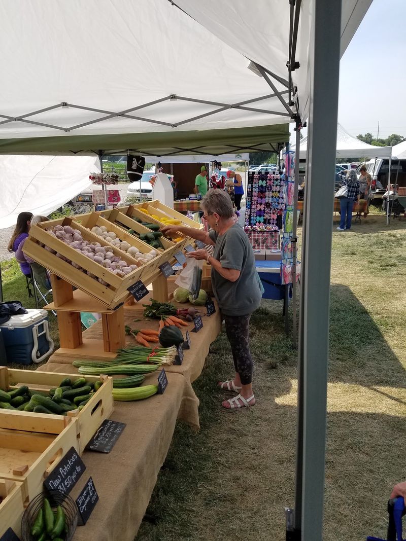 Fill Your Bag With Produce Picked Close To Home