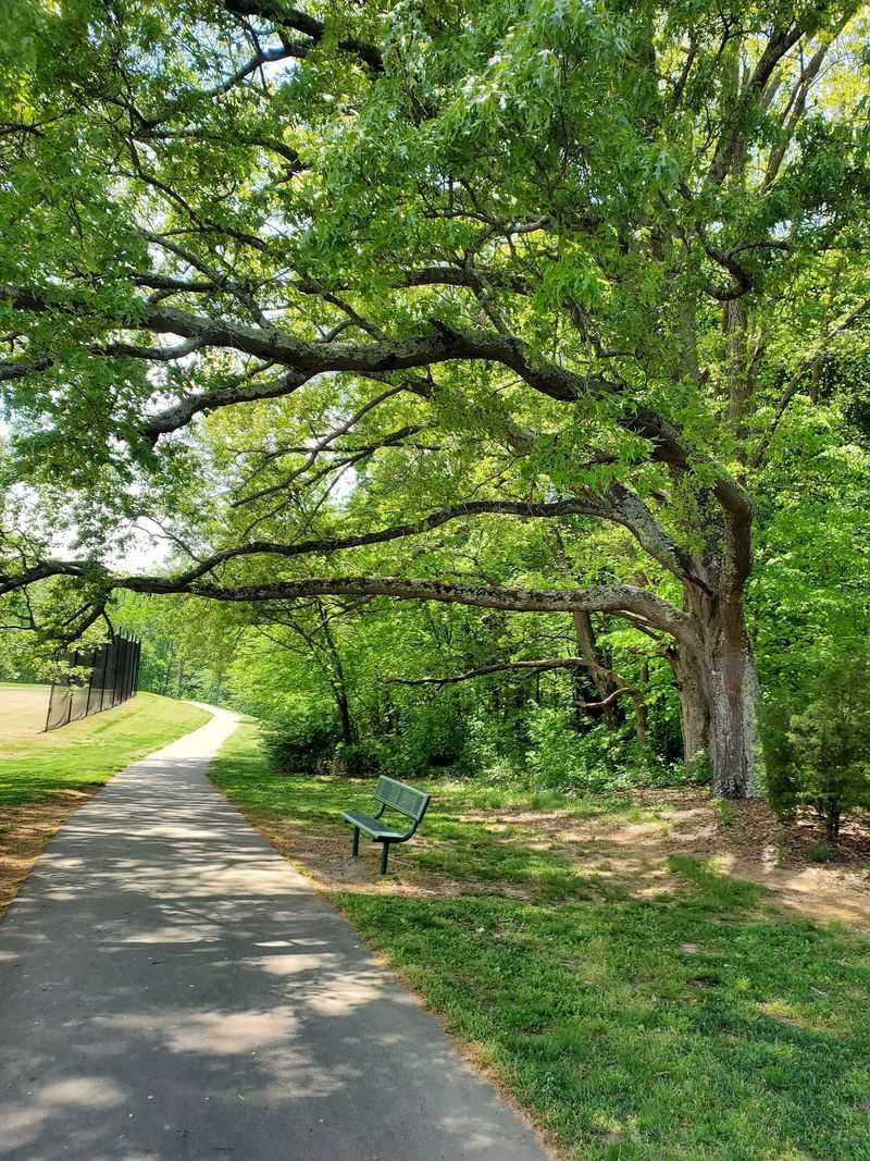 Visit The Dog Park That Helped Give The First Election Its Moment
