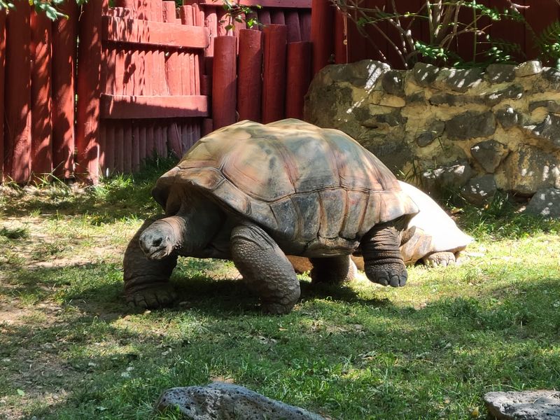 Let The Kids Burn Off Energy Between Animal Exhibits