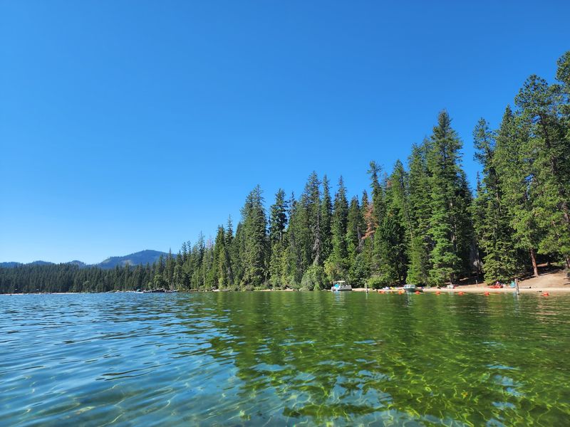The Beloved Idaho Lake Community Where A Major Development Plan Has Locals Fighting Back - Decor Hint Find Out What The Next Decision Could Mean For This Famous North Idaho Lake