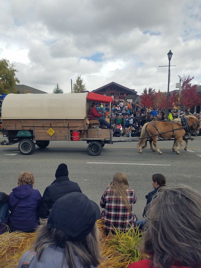 Get Close To Museum-Quality Wagons, Stagecoaches, And Carriages