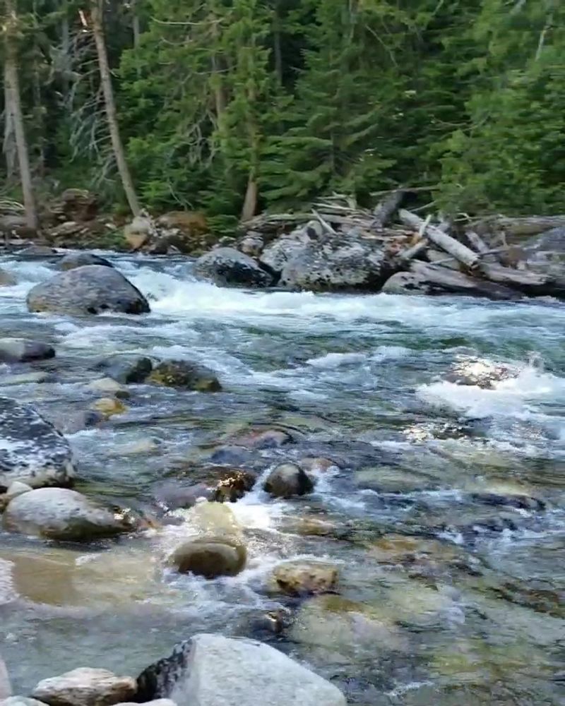 This 2.3-Mile Hike In Idaho Leads You To A Swinging Suspension Bridge Hidden In The Woods - Decor Hint Turn A 2.3-Mile Idaho Hike Into A Much Bigger Adventure