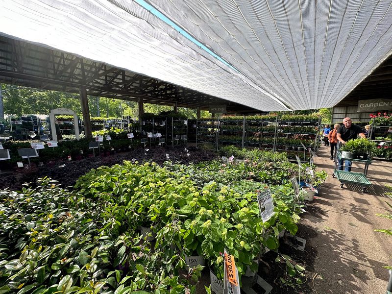 Ready Made Garden Plans For The Overwhelmed