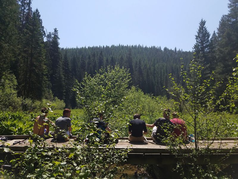 10 Idaho Hikes Where You'll Probably See More Wildlife Than People - Decor Hint Palouse Range Trail, Harvard