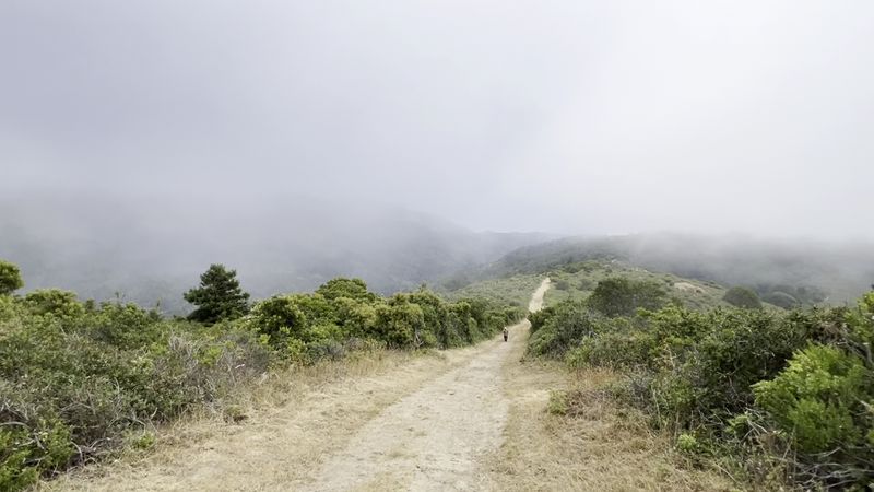 This Easy 2-Mile California Trail Leads Straight To The Ocean And September Is The Perfect Time To Go - Decor Hint No Road Drops You At The Sand