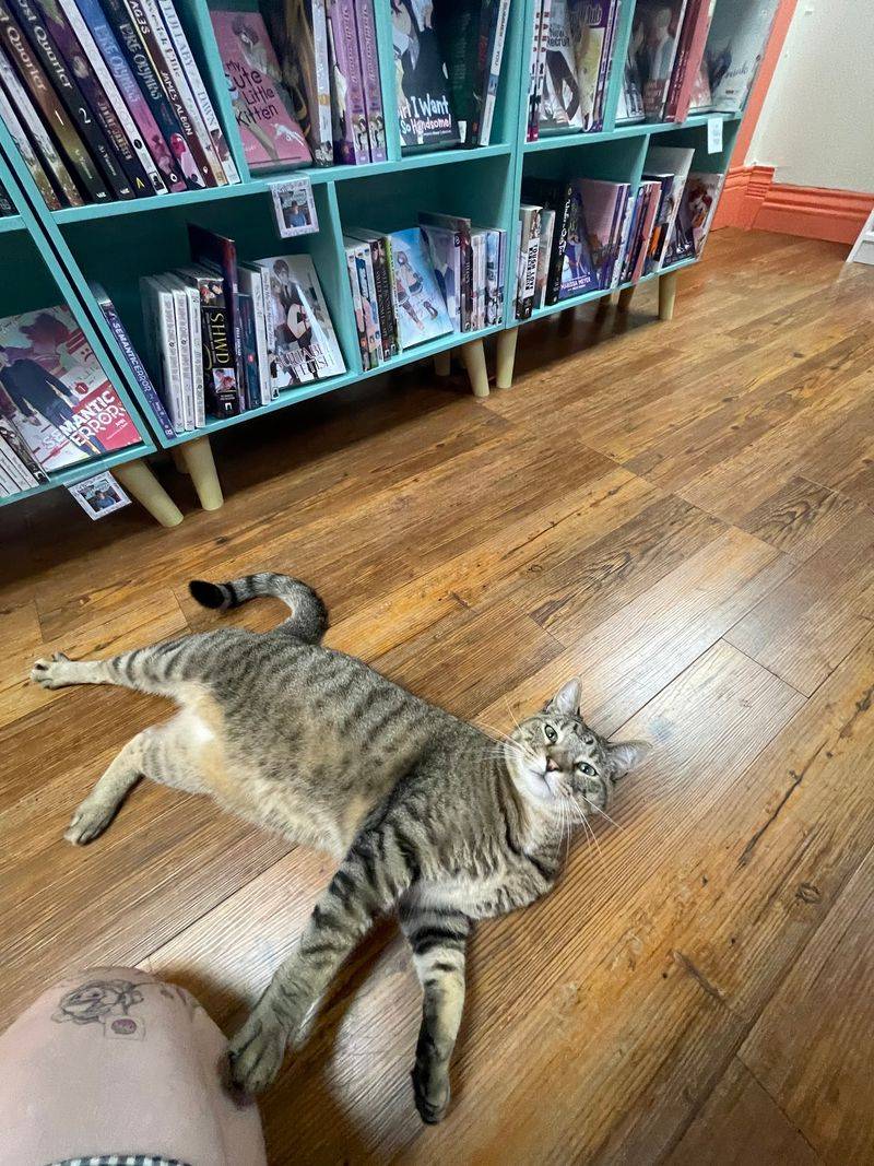 A Novel Romance
