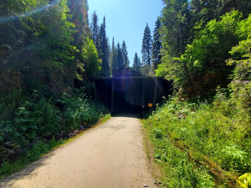 The Downhill That Barely Needs Pedaling