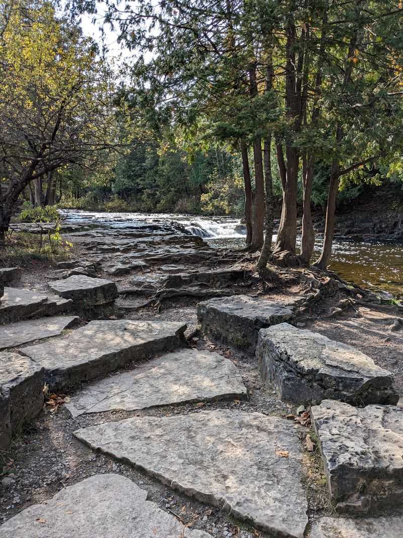 Fossil Hunting On The Riverbed