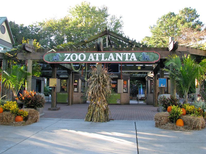 Savanna Nights, Zoo Atlanta, Atlanta