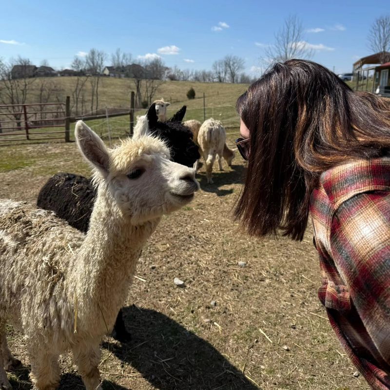 Why Alpaca Fiber Feels Different In Your Hands