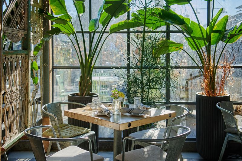 Terrain Cafe, Westport