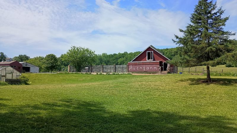 Auerfarm Woodland Trail, Bloomfield