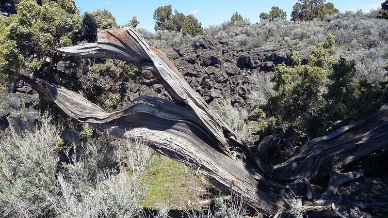This Loop Has A Scary Name But An Incredible Idaho Hiking Experience - Decor Hint Hummocks, Pits, And Tubes