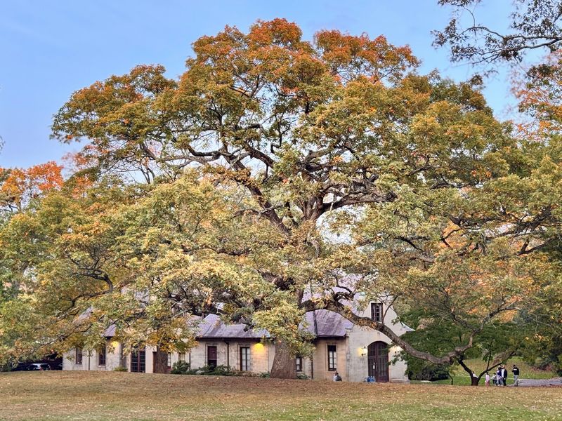 Edgerton Park, New Haven