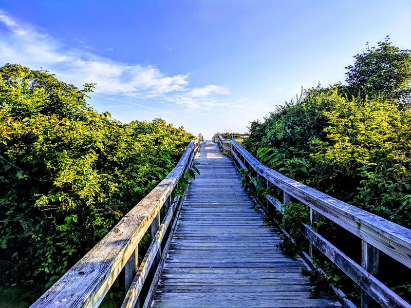 Harkness Memorial State Park, Waterford