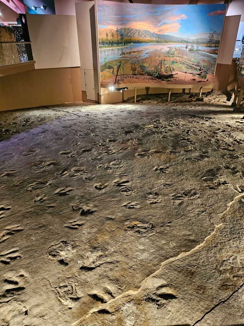 Dinosaur State Park, Rocky Hill