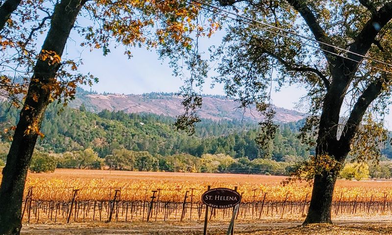 Highway 29 Through Napa Valley, Napa to Calistoga