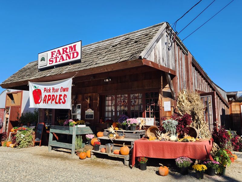 10 Fruit Farms In Connecticut That Belong On Your Summer Bucket List - Decor Hint Lapsley Orchards, Pomfret Center
