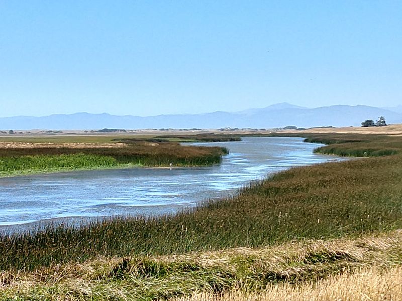 Tolowa Dunes State Park In Del Norte County