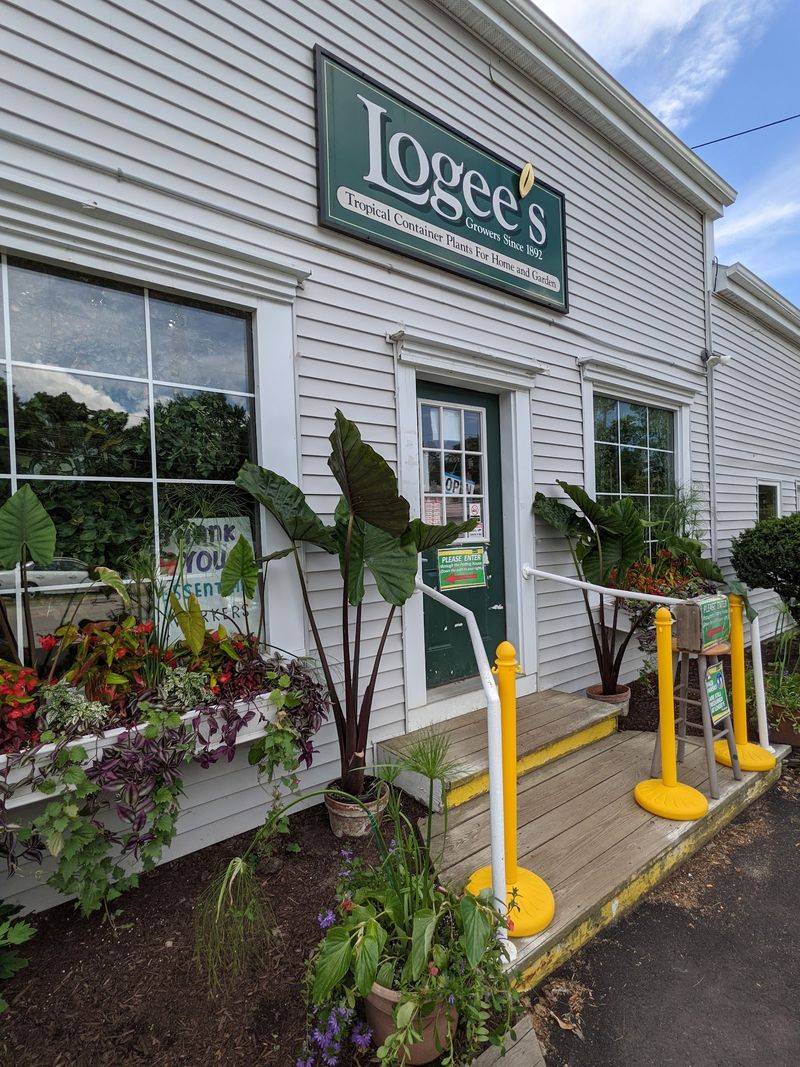 This 19,000-Square-Foot Connecticut Greenhouse Feels Straight Out Of A Fairy Tale - Decor Hint Family Roots Going Back To 1892