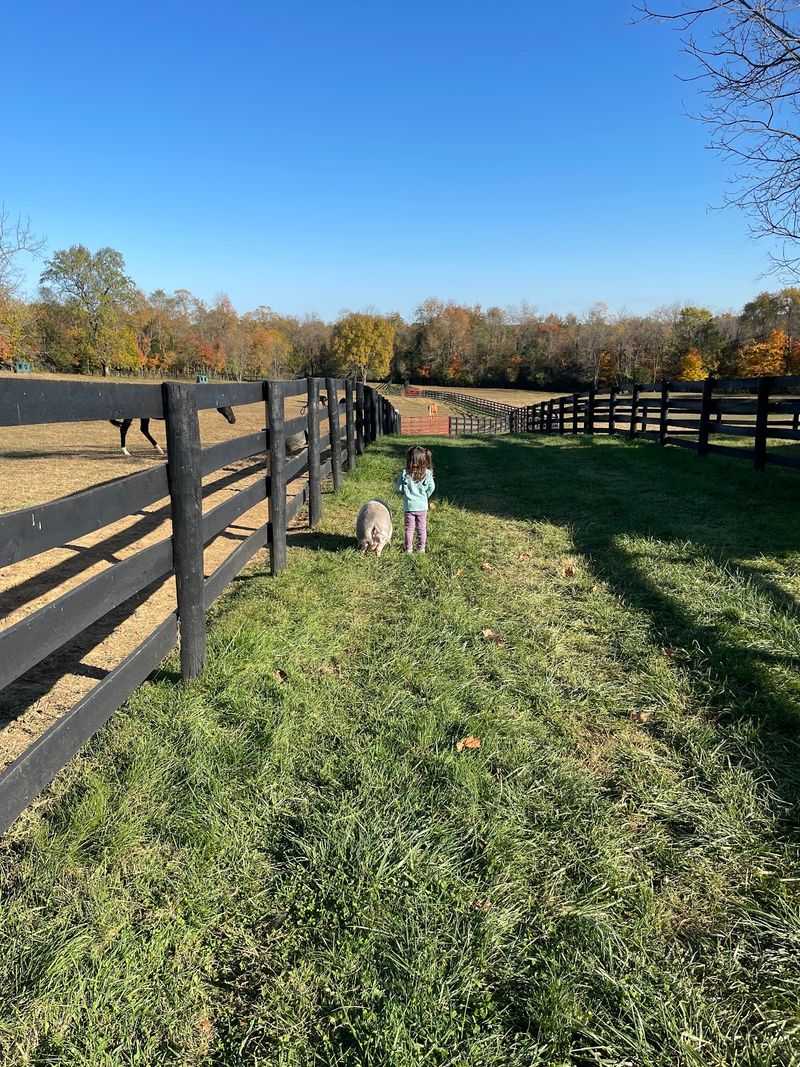The Rolling Kentucky Landscape All Around You