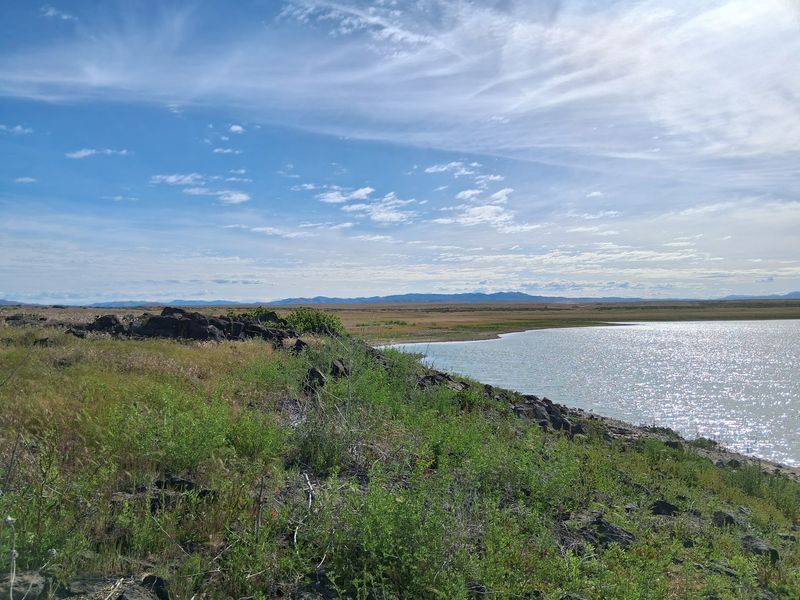 Turn An Easy Boise-Area Outing Into A Full Birdwatching Day