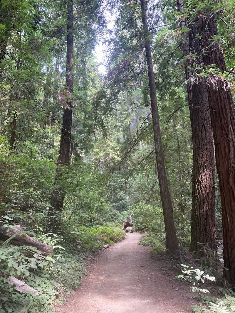 Expect Around 500 To 650 Feet Of Climbing