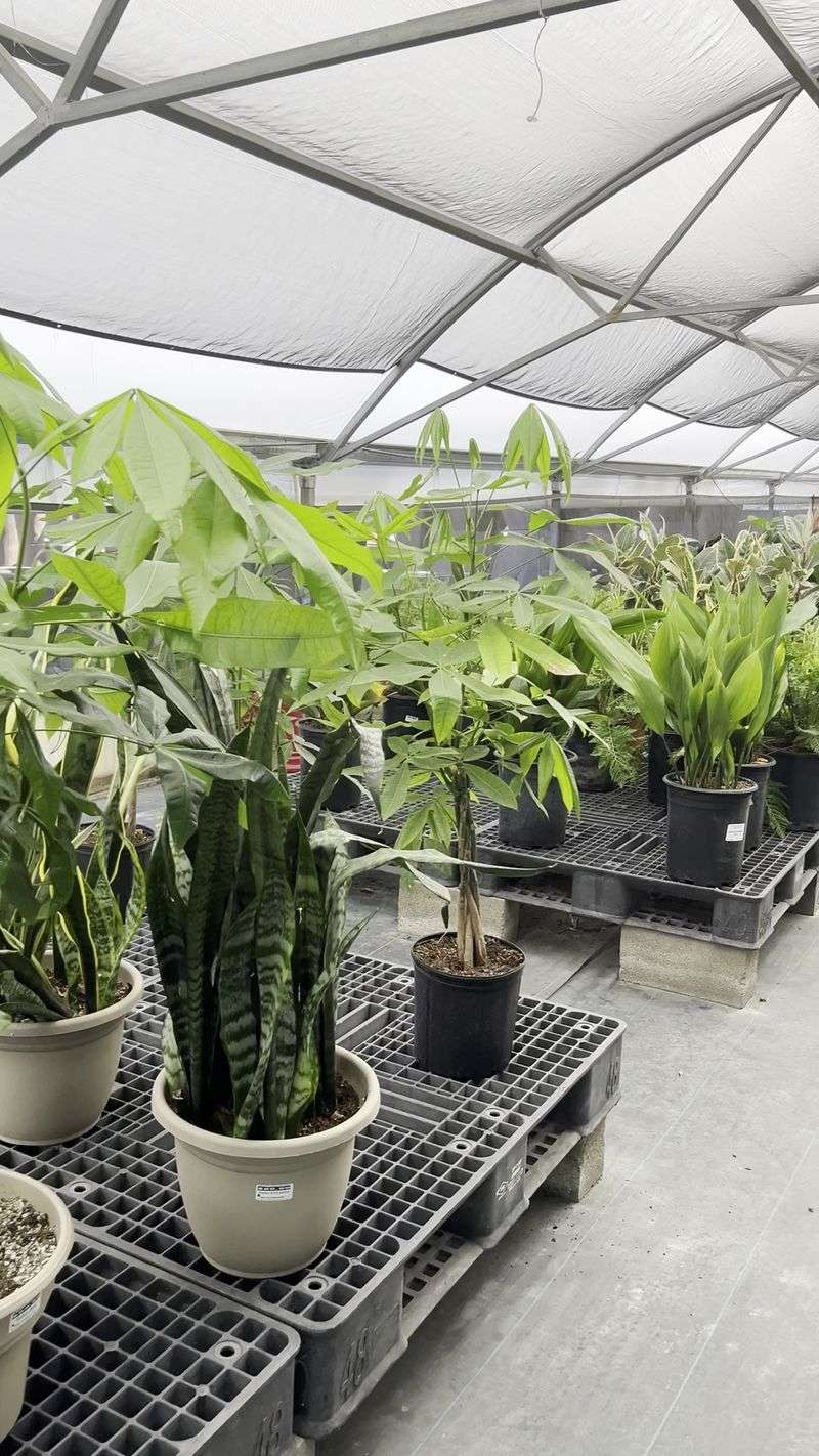 Direct Sourcing Keeps Prices Down