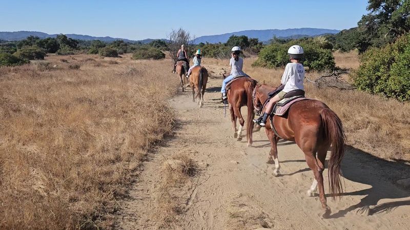 Horseback Riders Get Their Own Bridle Path